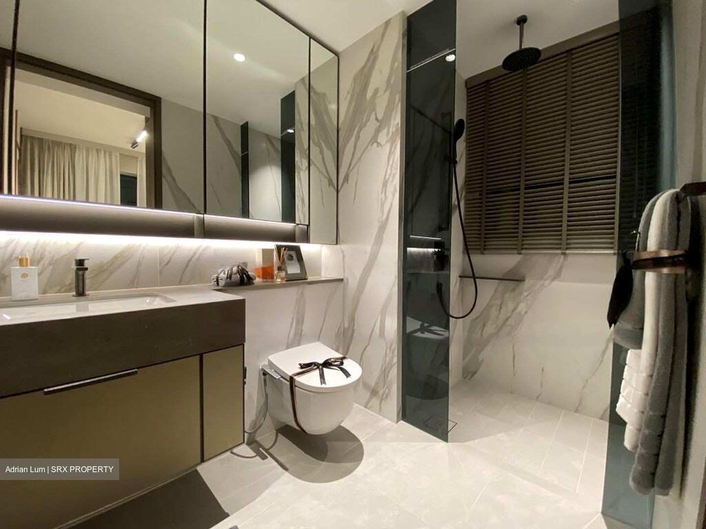 Zion Road (D3), Condominium #470745661